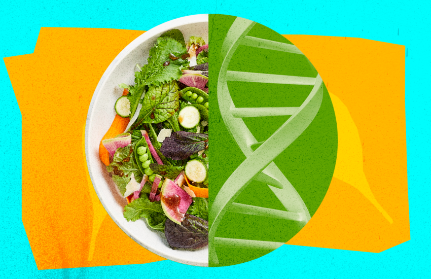 the-first-crispr-edited-salad-is-here